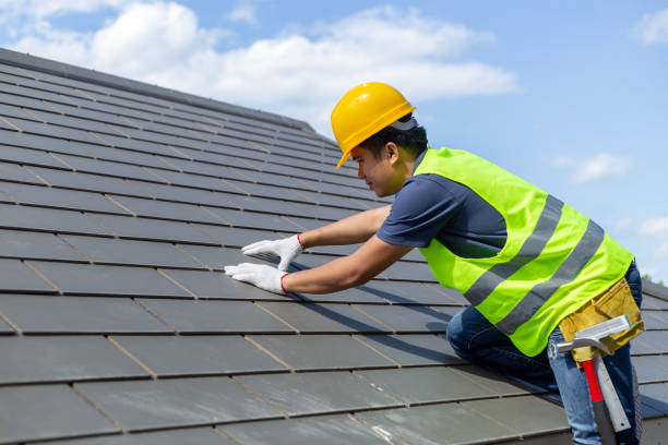 Best Sheet Metal Roofing  in Blue Mountain, MS