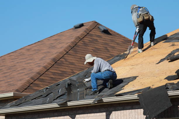 Fast & Reliable Emergency Roof Repairs in Blue Mountain, MS