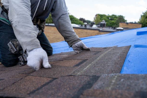 Best Metal Roofing Installation  in Blue Mountain, MS