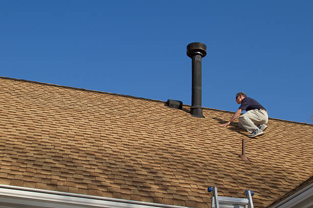 Best Roof Moss and Algae Removal  in Blue Mountain, MS